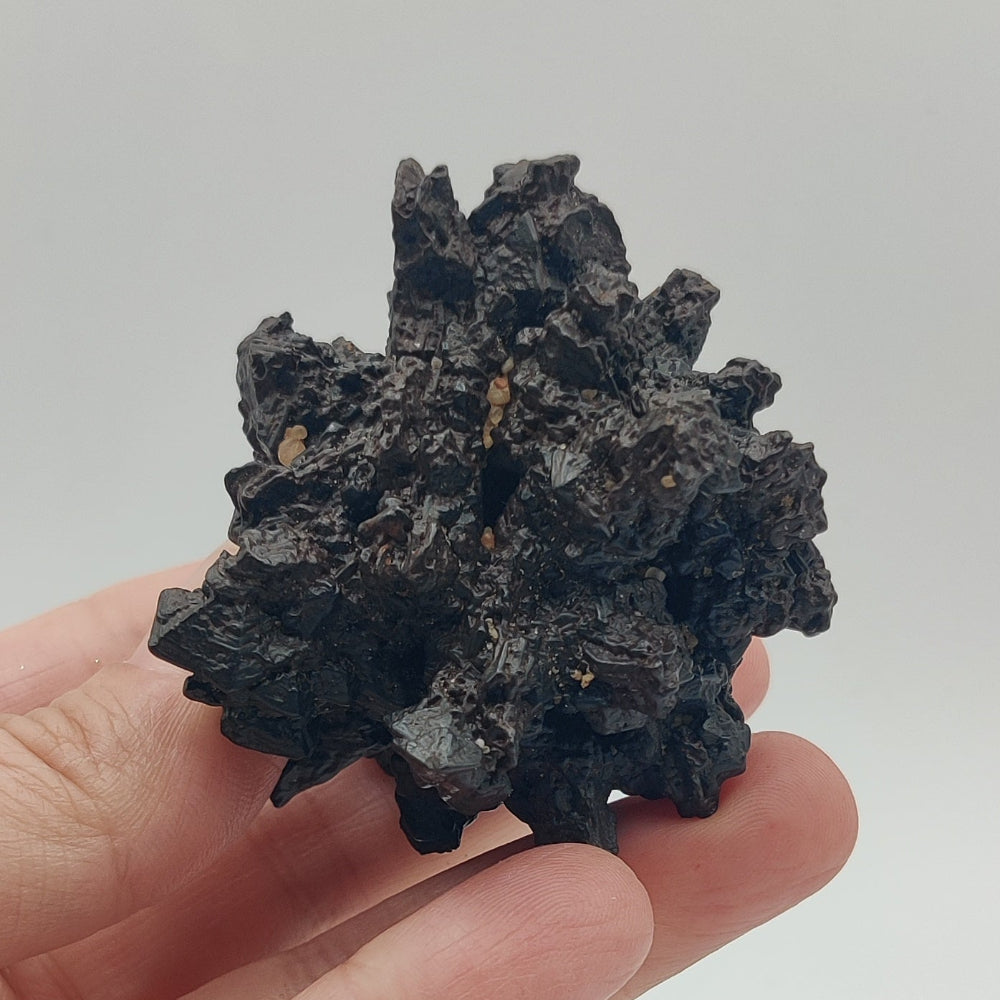 Goethita pseudomórfica de marcasita. "Piedra profecía"