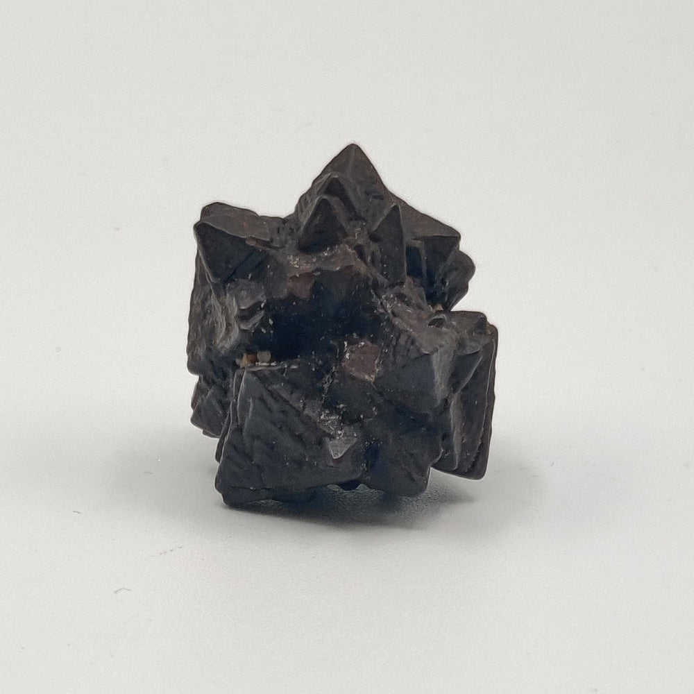 Goethita pseudomórfica de marcasita. "Piedra profecía"
