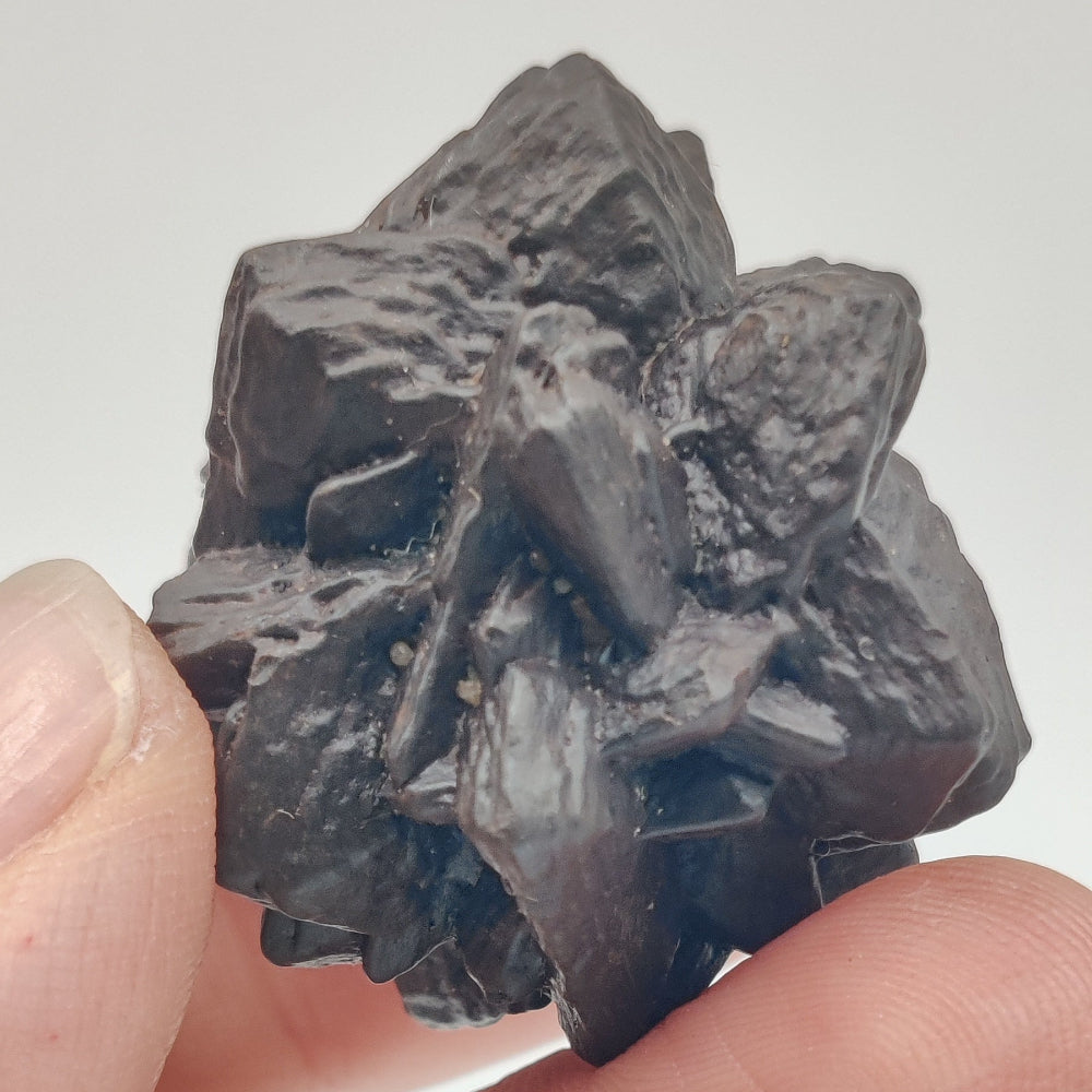 Goethita pseudomórfica de marcasita. "Piedra profecía"