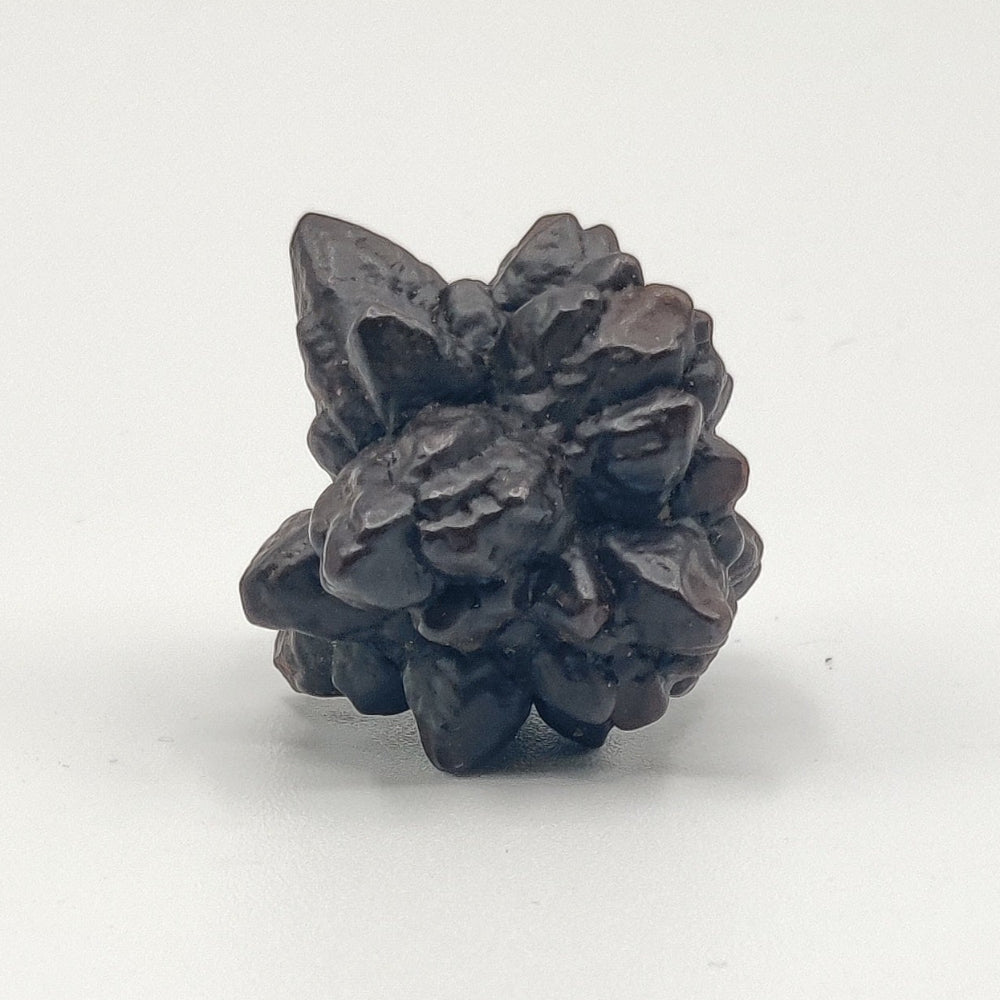 Goethita pseudomórfica de marcasita. "Piedra profecía"