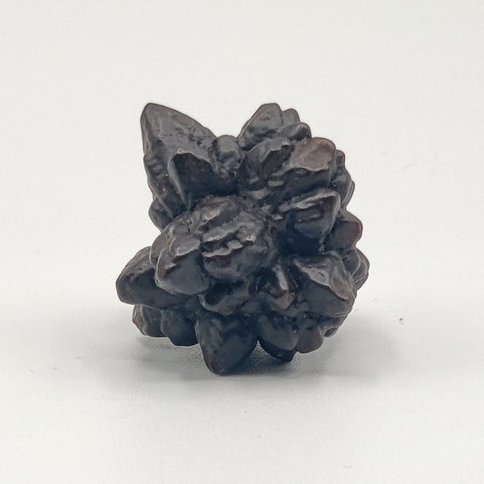 Goethita pseudomórfica de marcasita. "Piedra profecía"