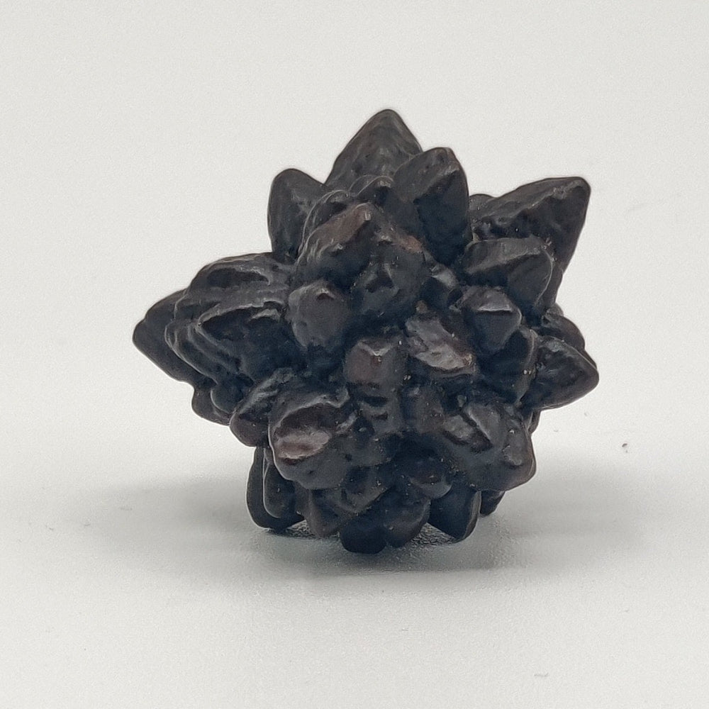 Goethita pseudomórfica de marcasita. "Piedra profecía"