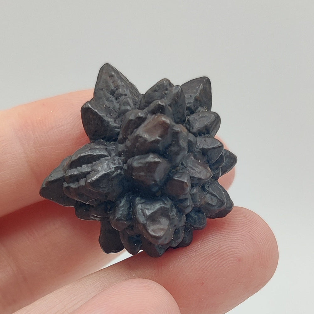 Goethita pseudomórfica de marcasita. "Piedra profecía"