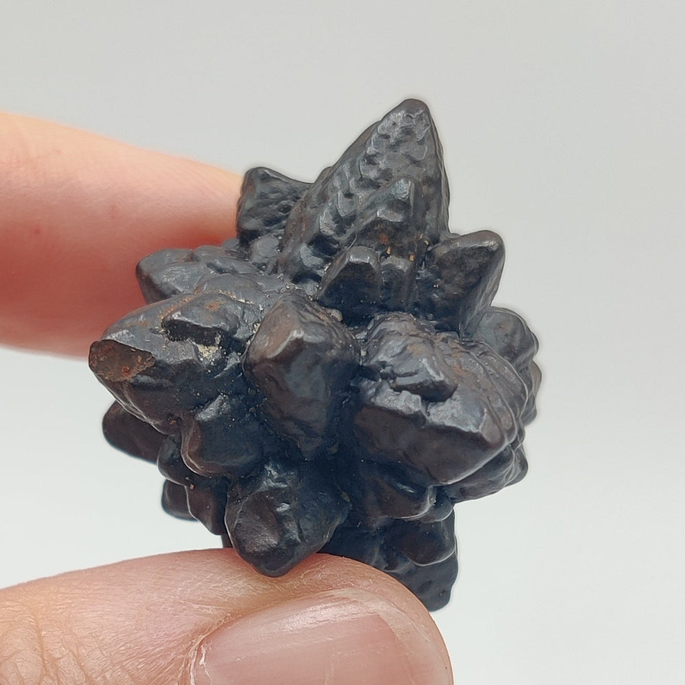 Goethita pseudomórfica de marcasita. "Piedra profecía"