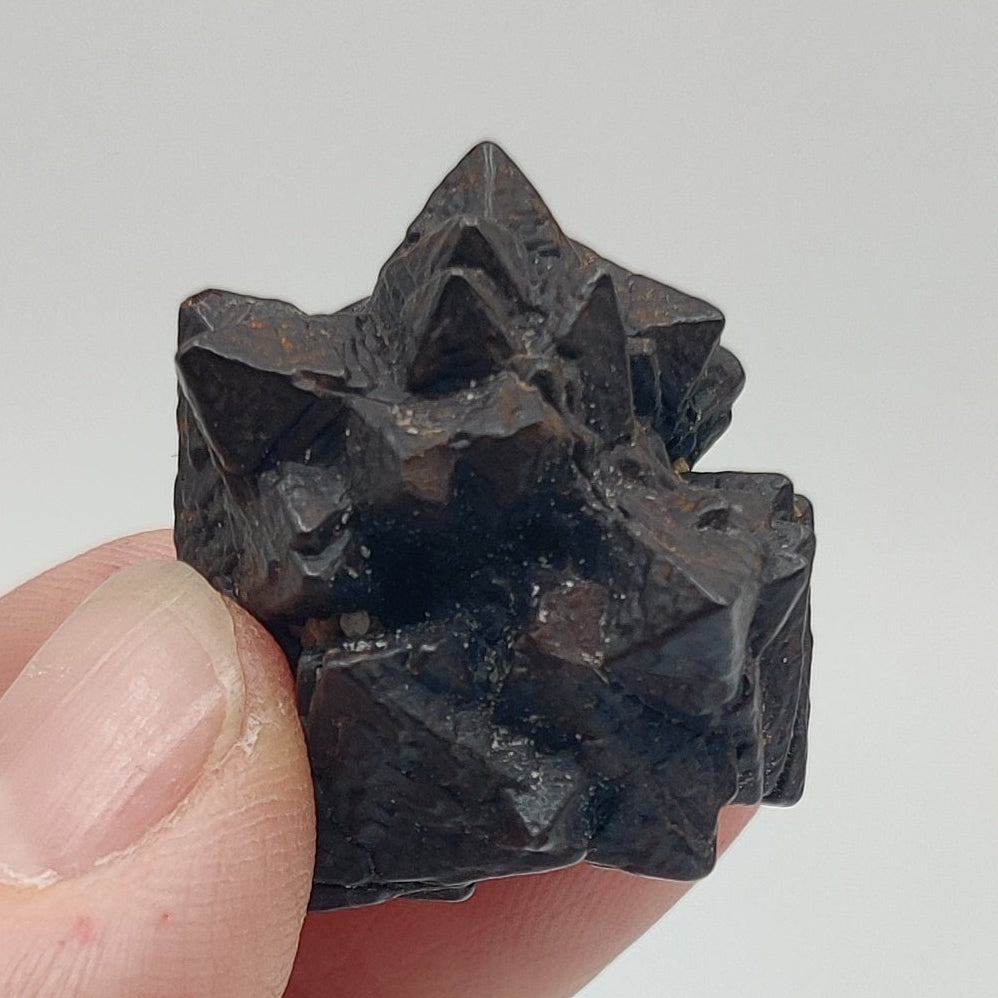 Goethita pseudomórfica de marcasita. "Piedra profecía"