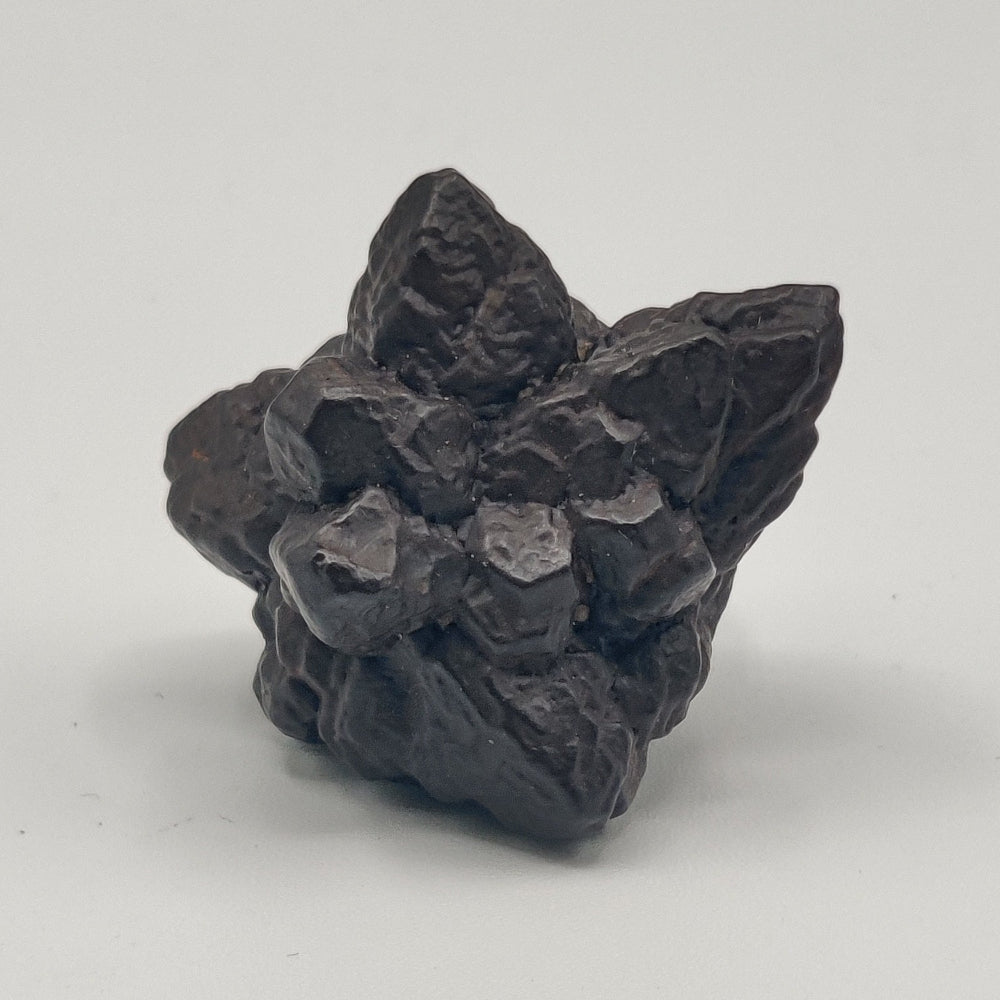 Goethita pseudomórfica de marcasita. "Piedra profecía"