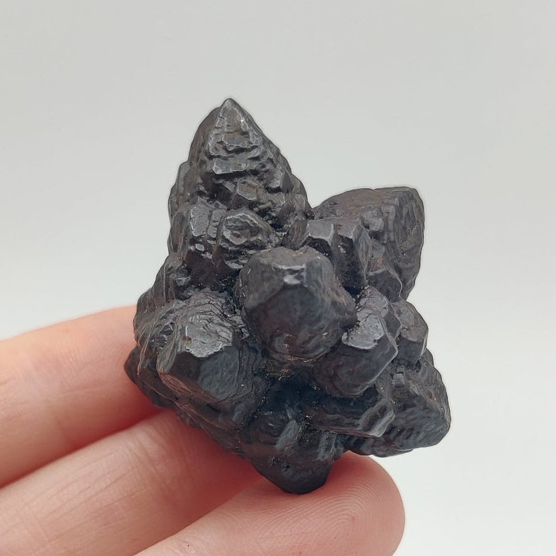 Goethita pseudomórfica de marcasita. "Piedra profecía"