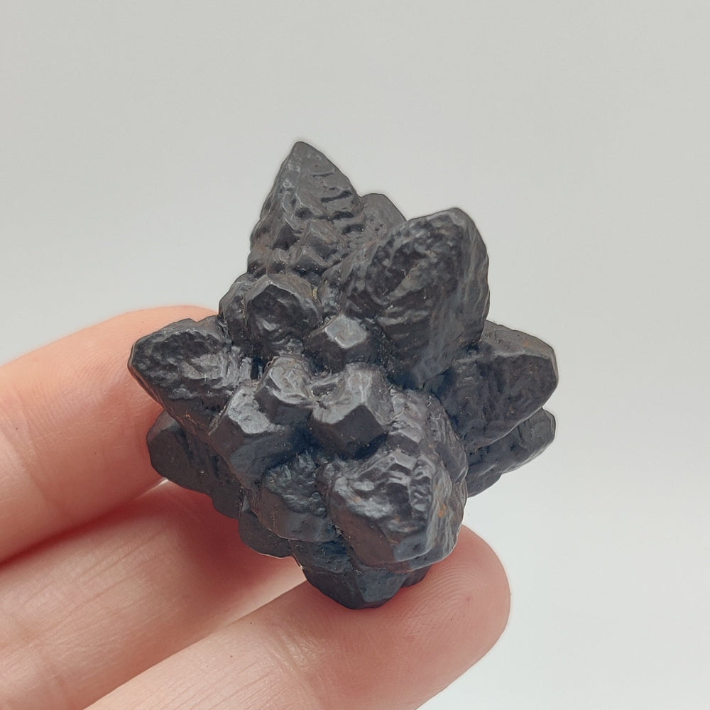 Goethita pseudomórfica de marcasita. "Piedra profecía"