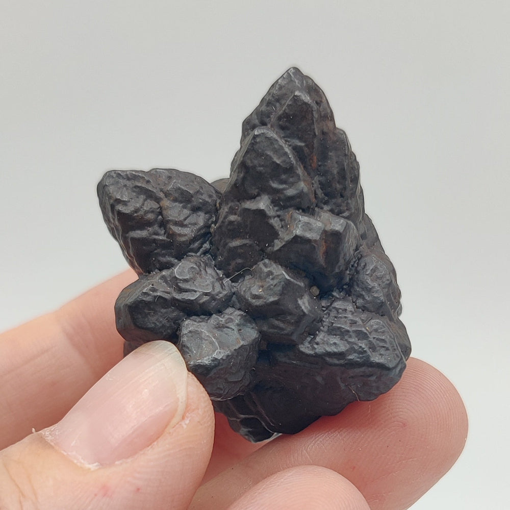 Goethita pseudomórfica de marcasita. "Piedra profecía"