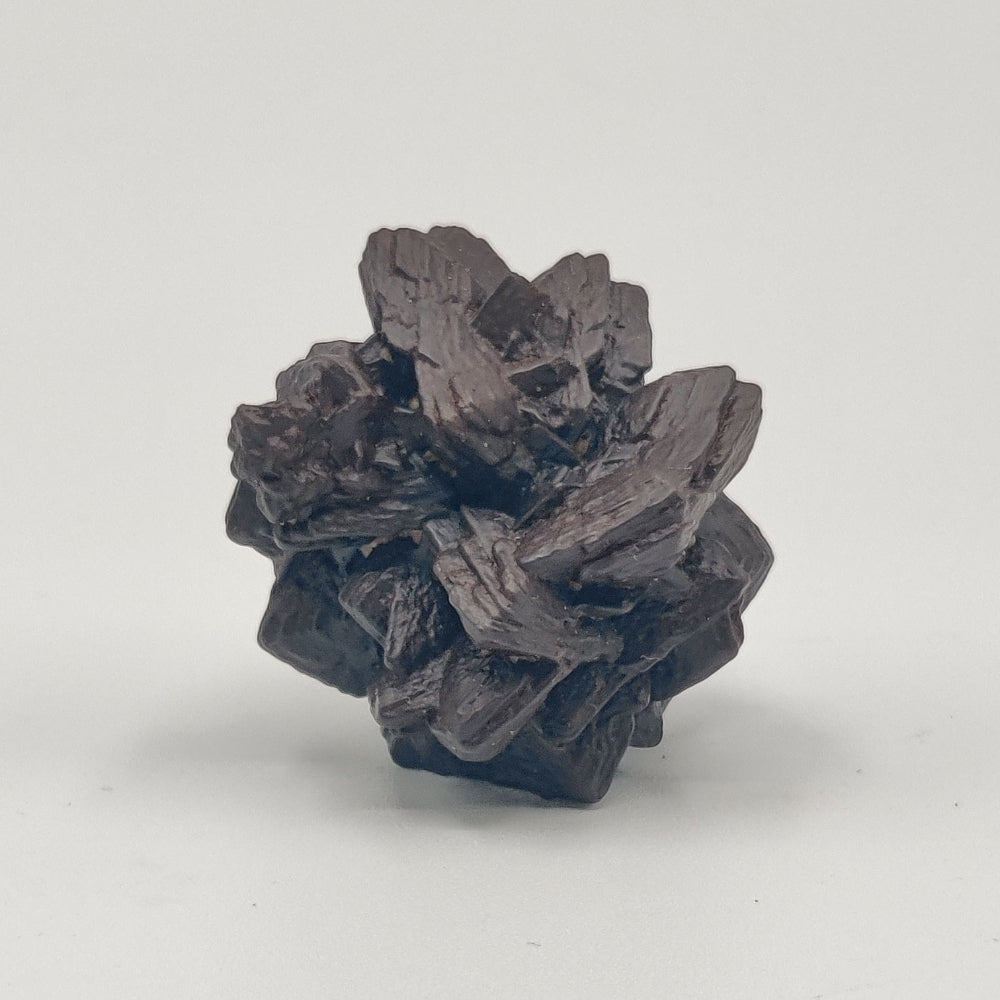 Goethita pseudomórfica de marcasita. "Piedra profecía"