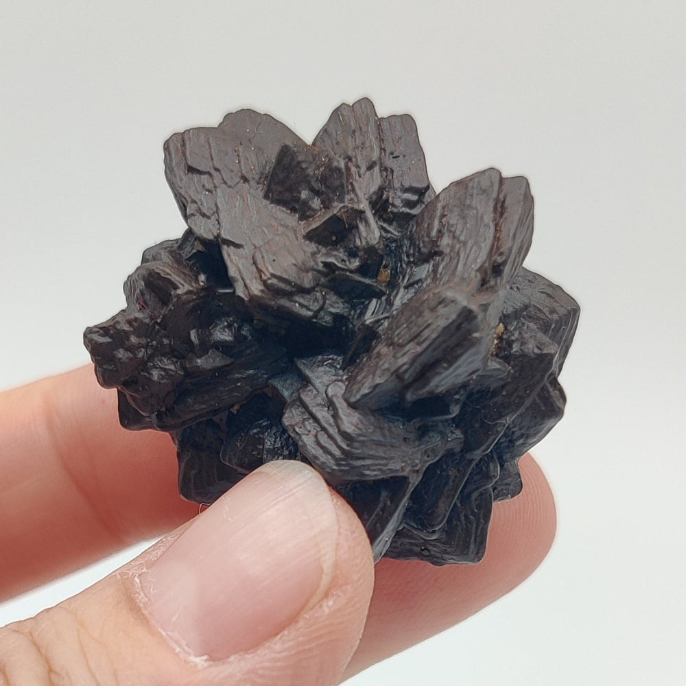 Goethita pseudomórfica de marcasita. "Piedra profecía"
