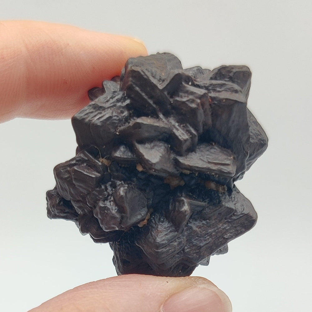 Goethita pseudomórfica de marcasita. "Piedra profecía"