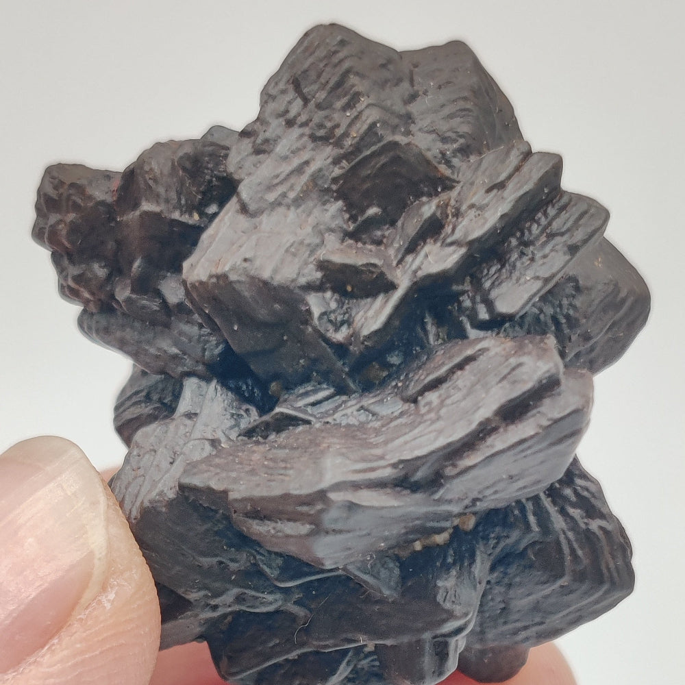 Goethita pseudomórfica de marcasita. "Piedra profecía"
