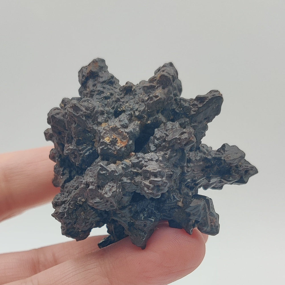 Goethita pseudomórfica de marcasita. "Piedra profecía"