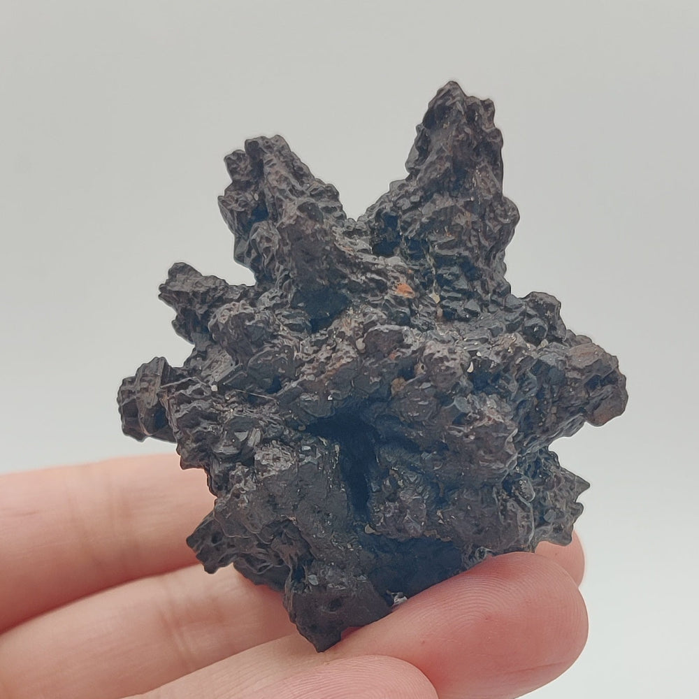 Goethita pseudomórfica de marcasita. "Piedra profecía"