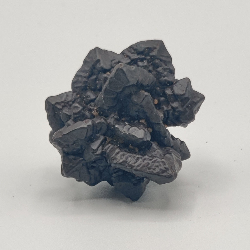 Goethita pseudomórfica de marcasita. "Piedra profecía"
