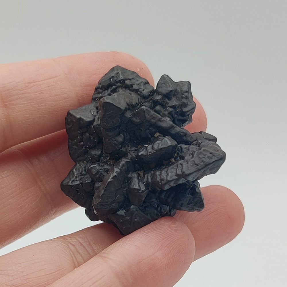 Goethita pseudomórfica de marcasita. "Piedra profecía"