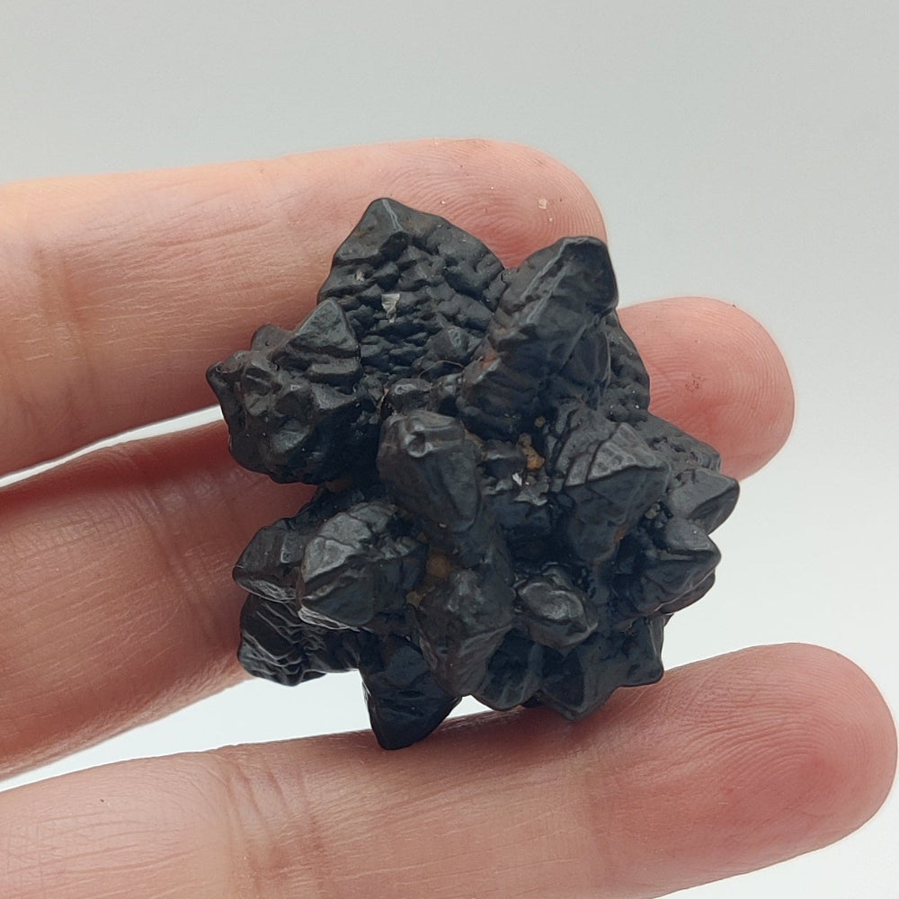 Goethita pseudomórfica de marcasita. "Piedra profecía"