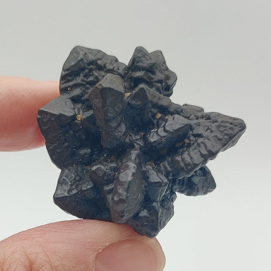 Goethita pseudomórfica de marcasita. "Piedra profecía"