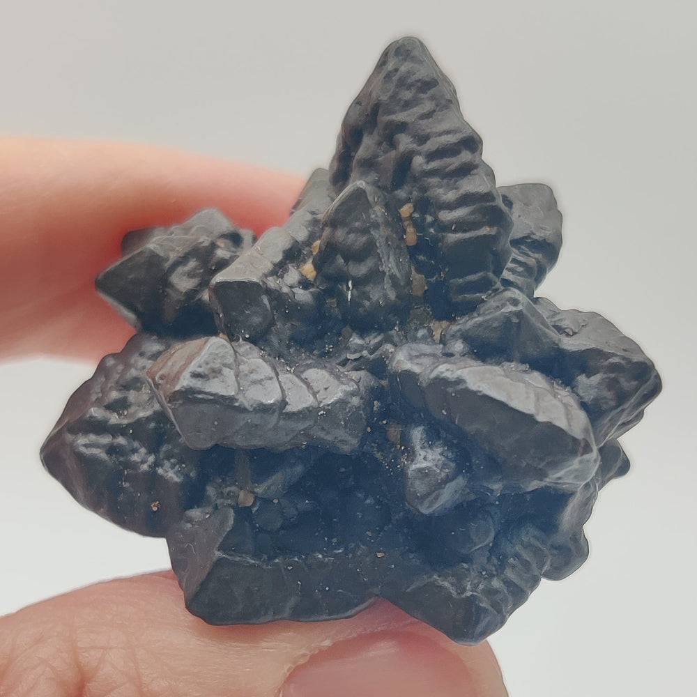Goethita pseudomórfica de marcasita. "Piedra profecía"