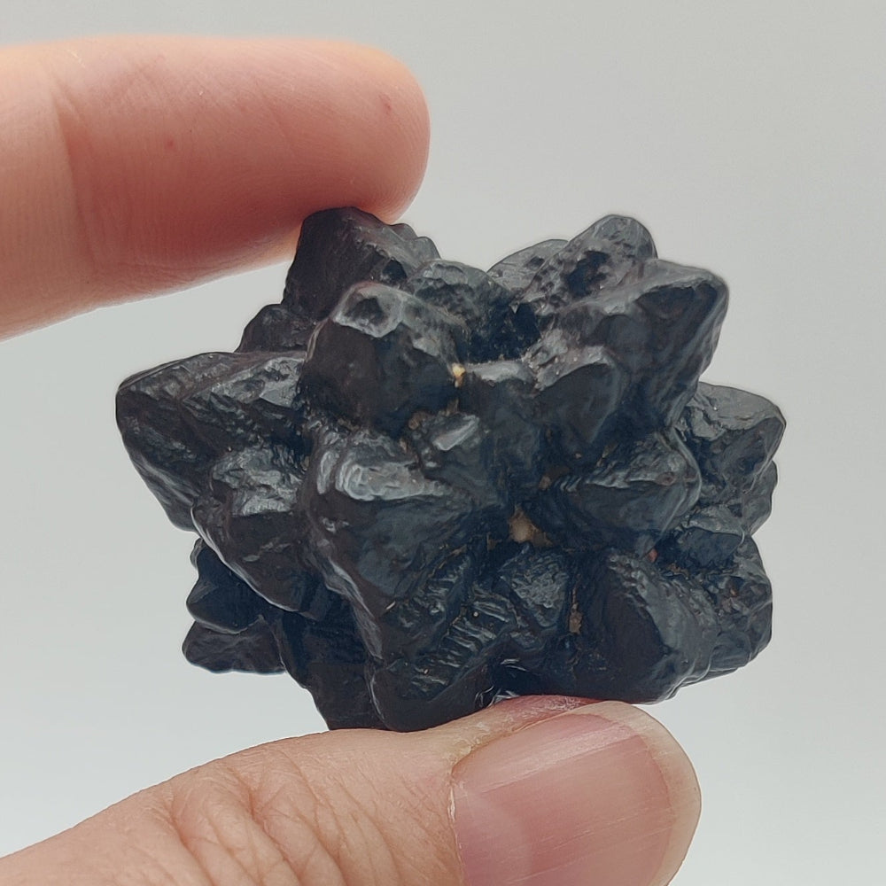 Goethita pseudomórfica de marcasita. "Piedra profecía"
