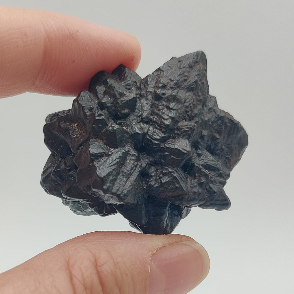 Goethita pseudomórfica de marcasita. "Piedra profecía"