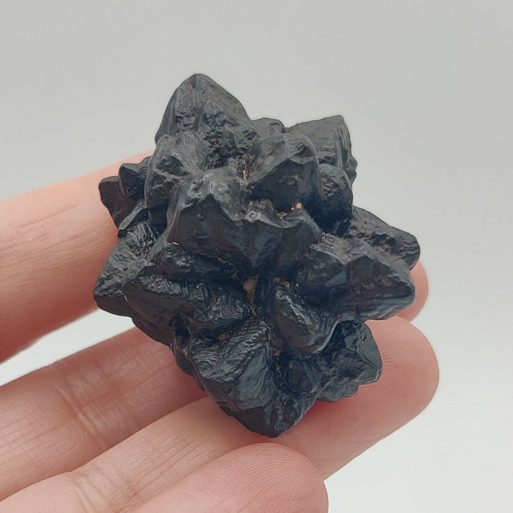 Goethita pseudomórfica de marcasita. "Piedra profecía"