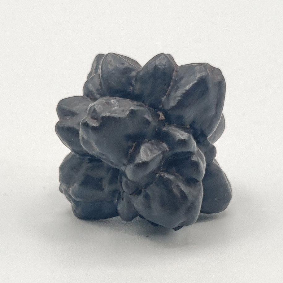 Goethita pseudomórfica de marcasita. "Piedra profecía"