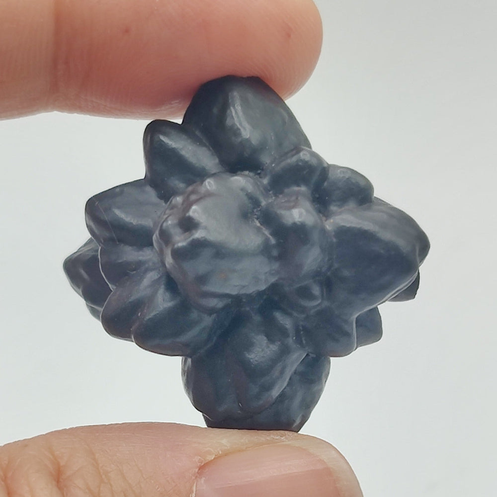 Goethita pseudomórfica de marcasita. "Piedra profecía"