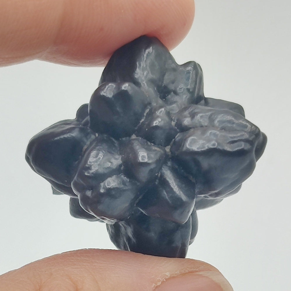Goethita pseudomórfica de marcasita. "Piedra profecía"