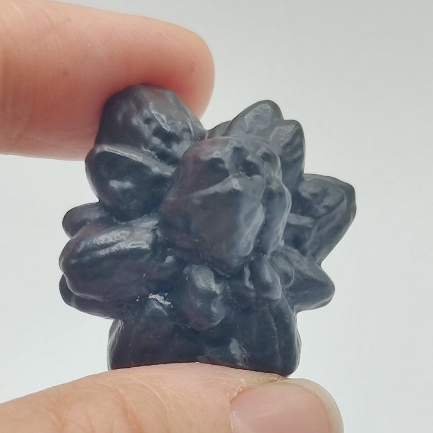 Goethita pseudomórfica de marcasita. "Piedra profecía"