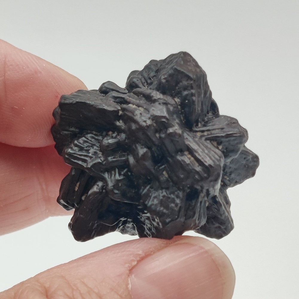 Goethita pseudomórfica de marcasita. "Piedra profecía"