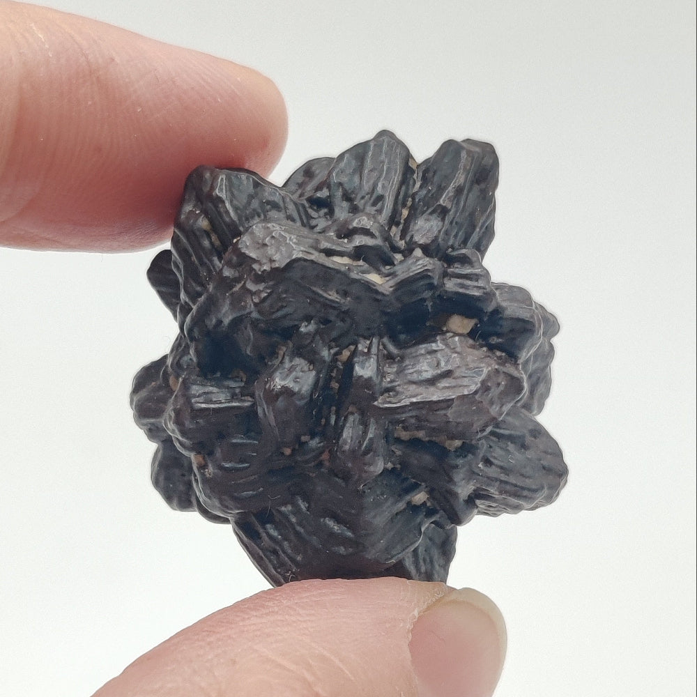 Goethita pseudomórfica de marcasita. "Piedra profecía"