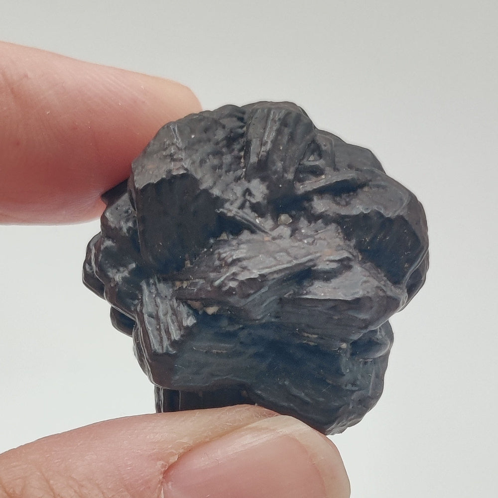 Goethita pseudomórfica de marcasita. "Piedra profecía"