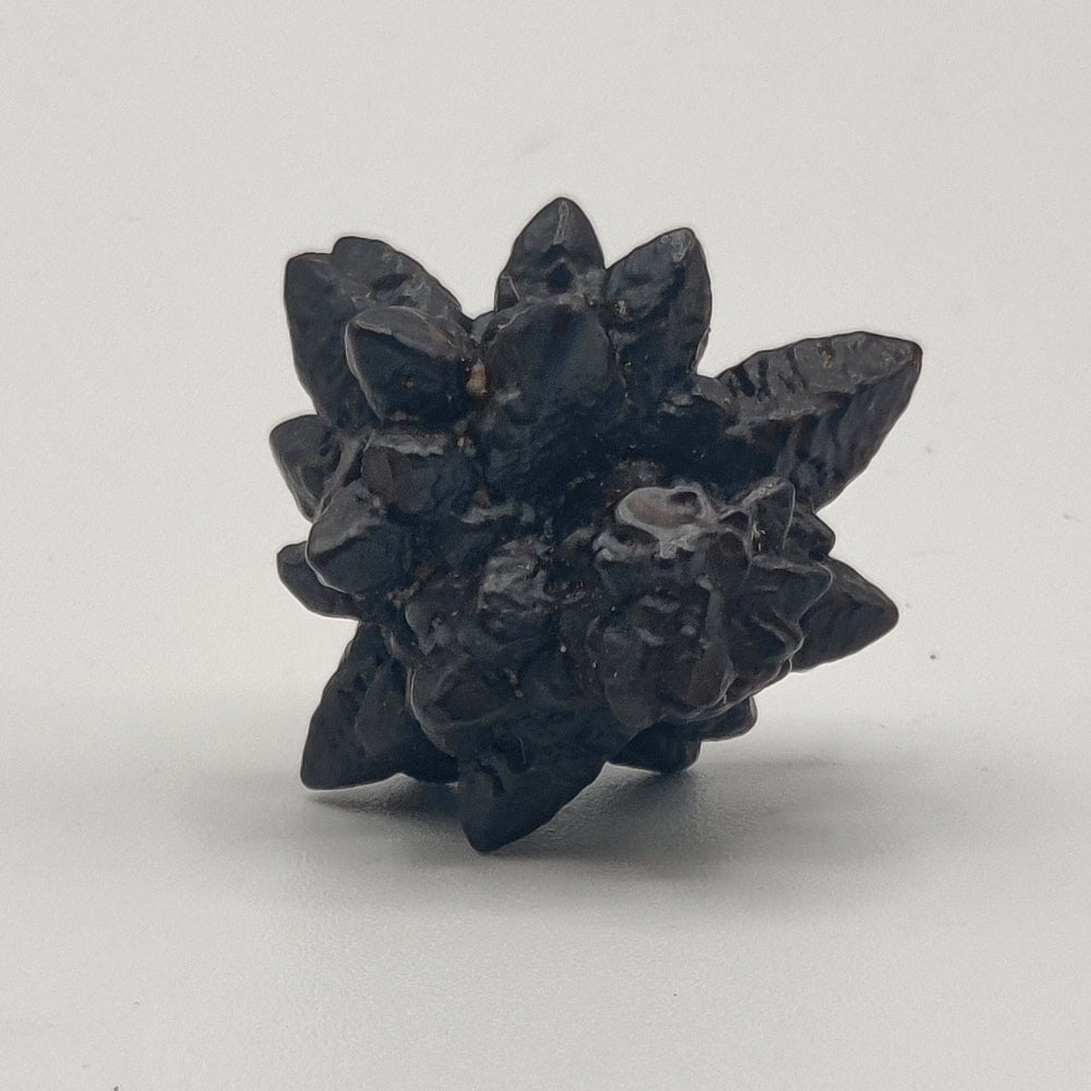 Goethita pseudomórfica de marcasita. "Piedra profecía"