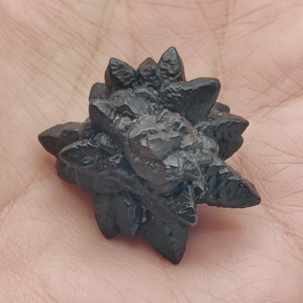 Goethita pseudomórfica de marcasita. "Piedra profecía"