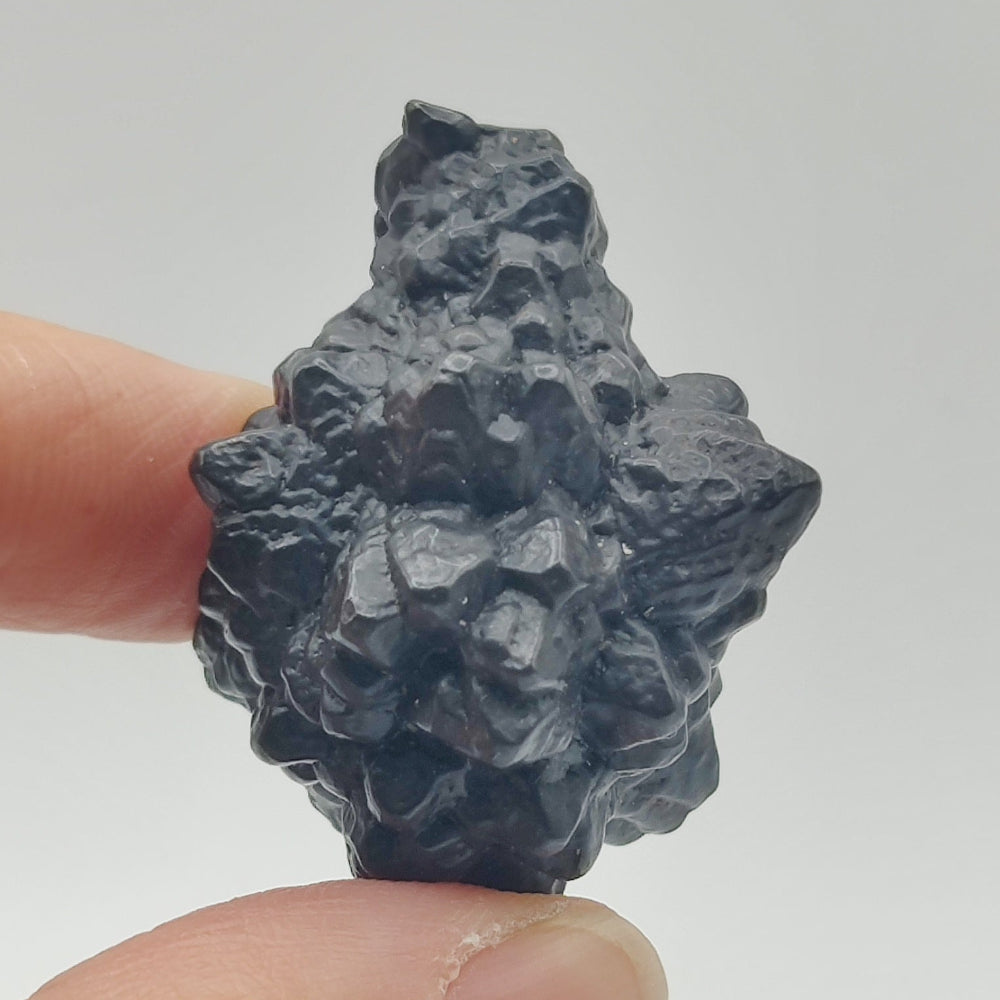 Goethita pseudomórfica de marcasita. "Piedra profecía"