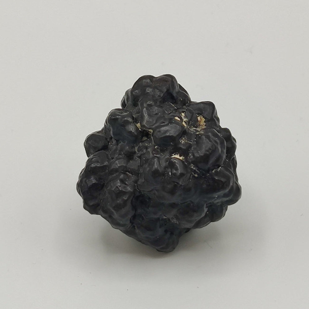 Goethita pseudomórfica de marcasita. "Piedra profecía"