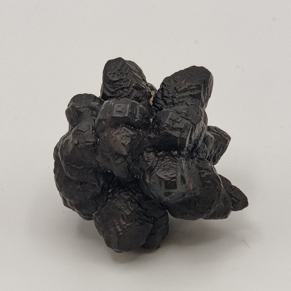 Goethita pseudomórfica de marcasita. "Piedra profecía"