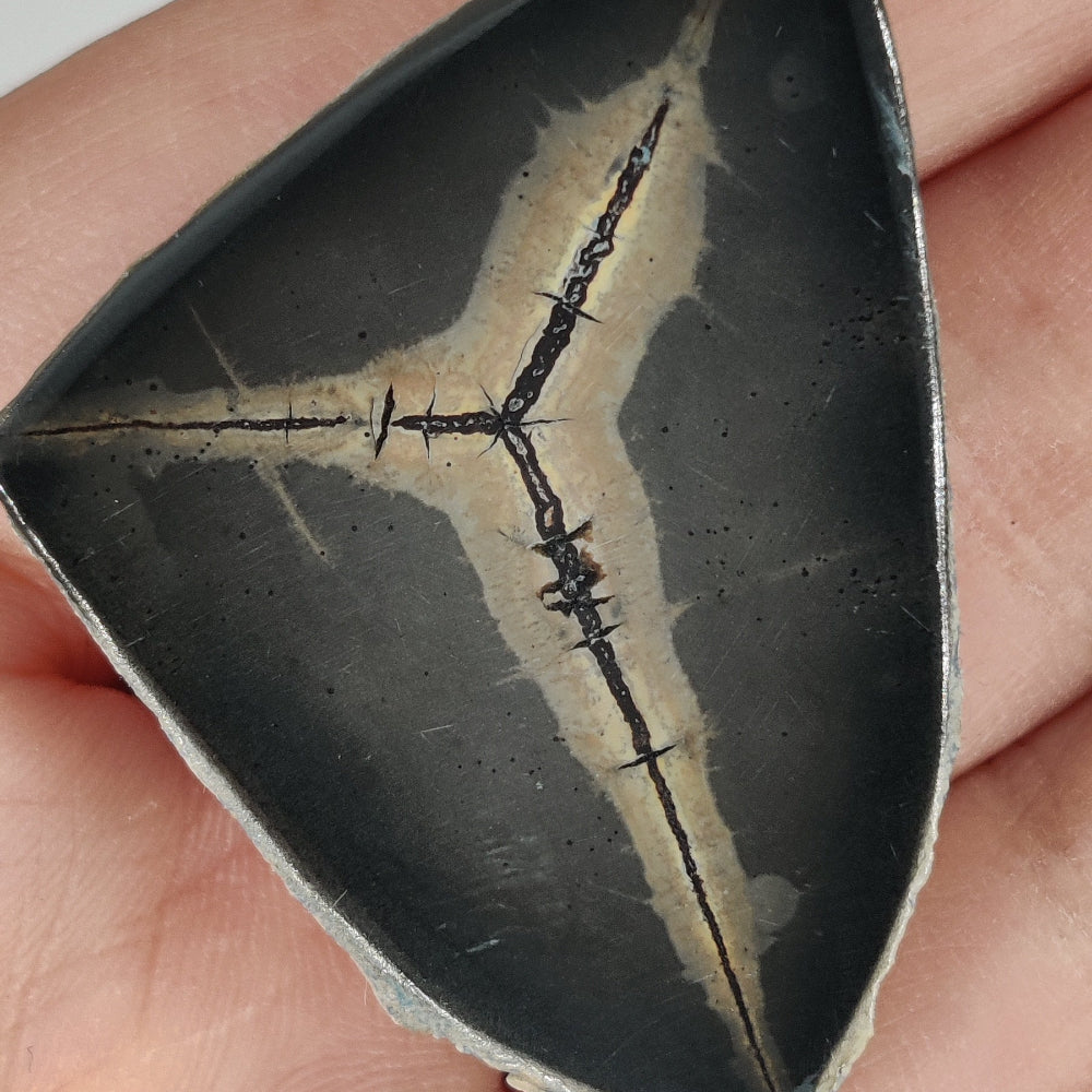 Septarias