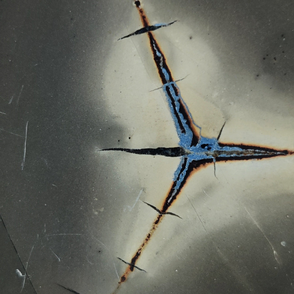 Septarias