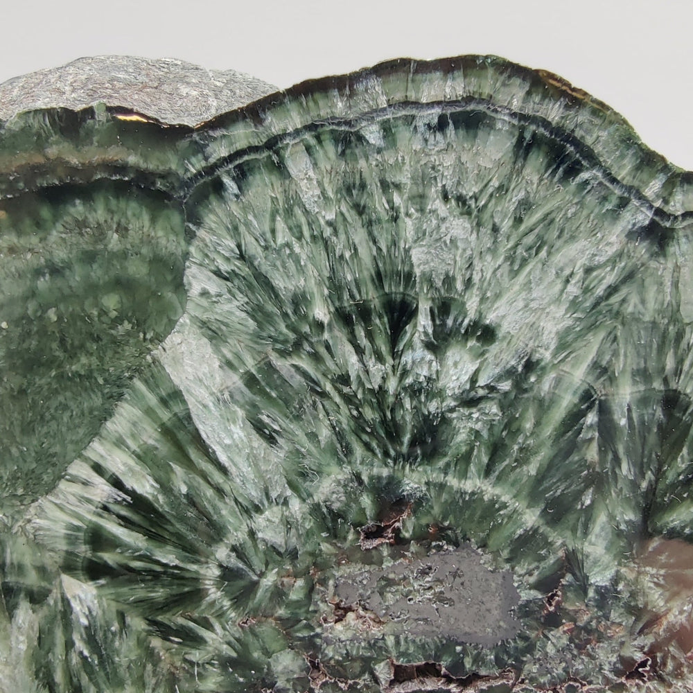 Serafinita extra con Hematites