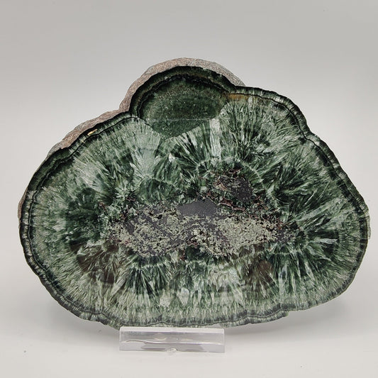 Serafinita extra con Hematites